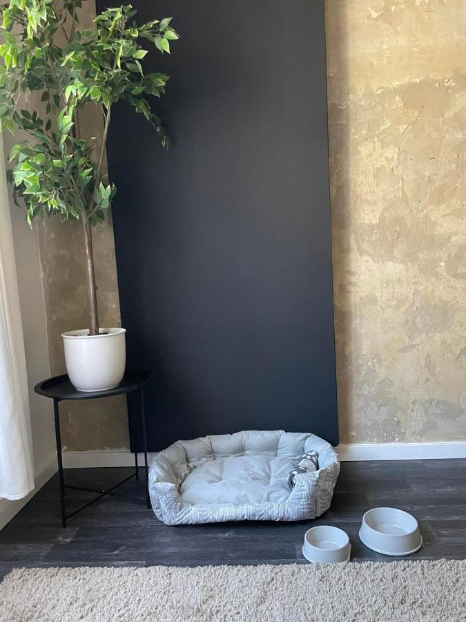 Spacious Apartment Almassy Budapeşte Dış mekan fotoğraf